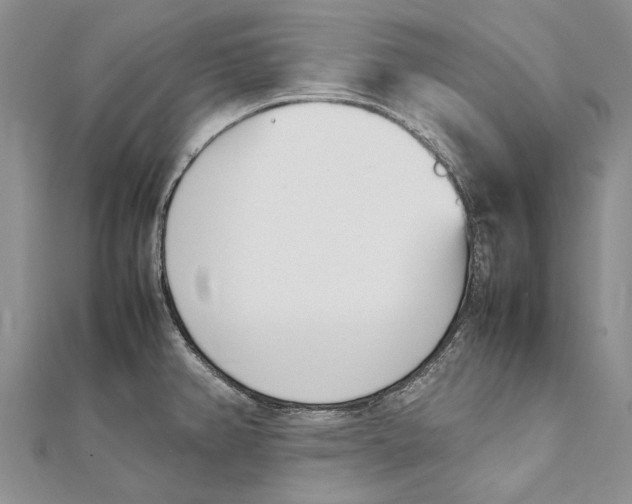 X0000111391382200908071247