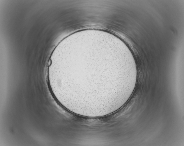 X0000111391383200908071247