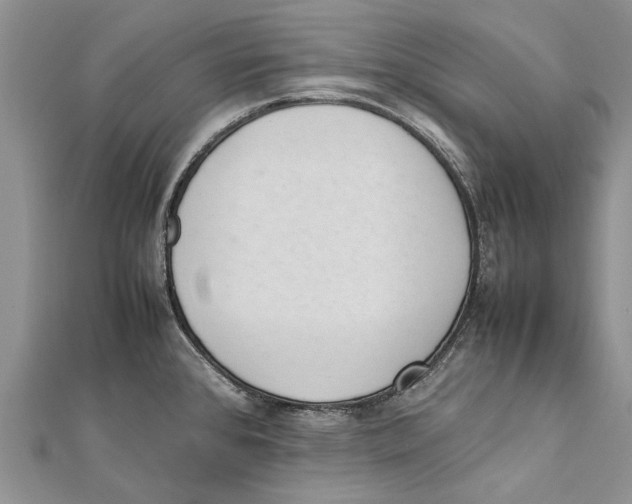 X0000111391384200908071247