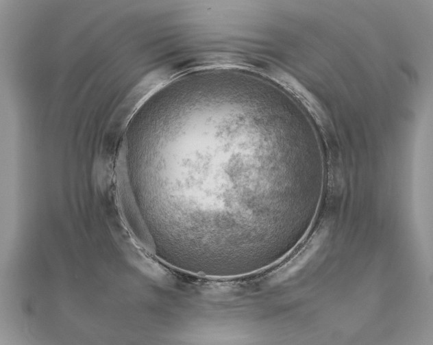 X0000111391385200908071247