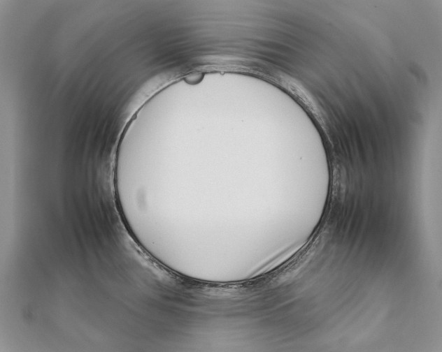X0000111391386200908071247
