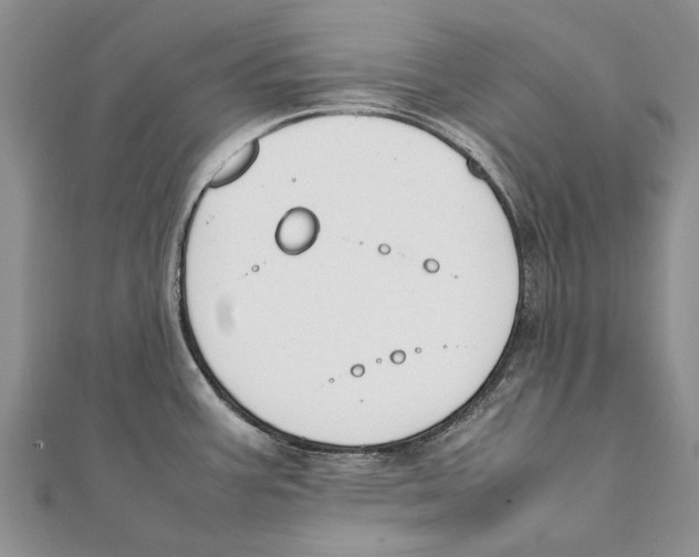 X0000111391387200908071247