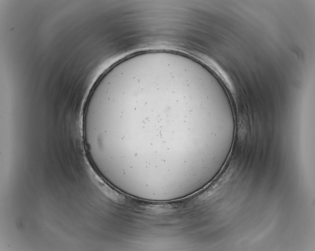 X0000111391388200908071247