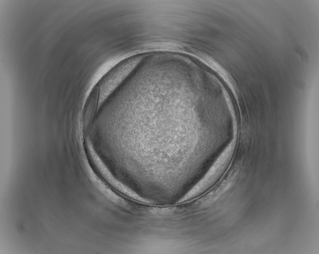 X0000111391389200908071247