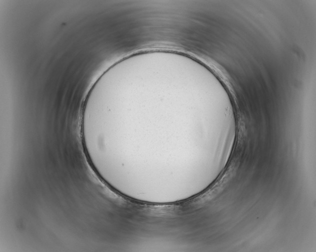 X0000111391390200908071247