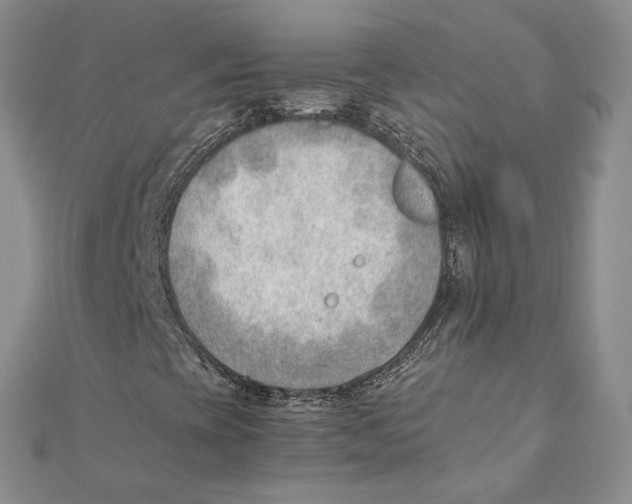 X0000111391393200908071246