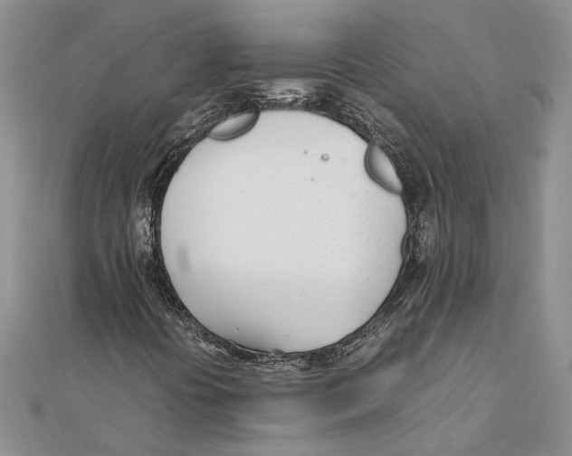 X0000111391394200908071246