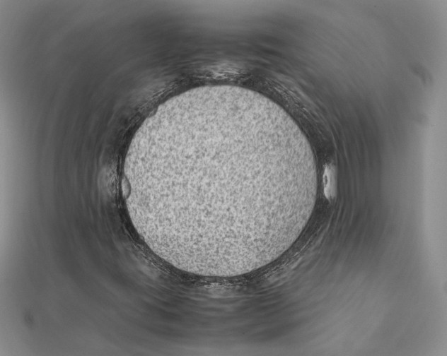 X0000111391395200908071246