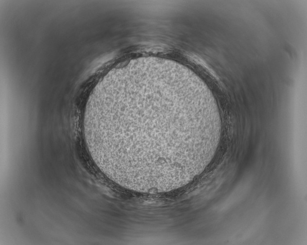 X0000111391399200908071246