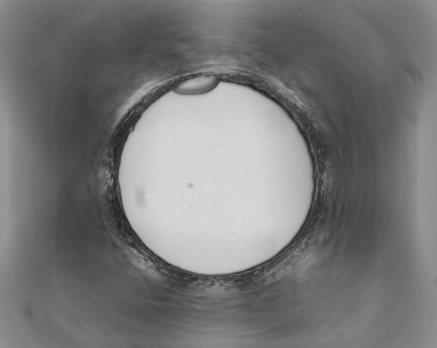 X0000111391400200908071246