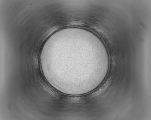 X0000111391401200908071246