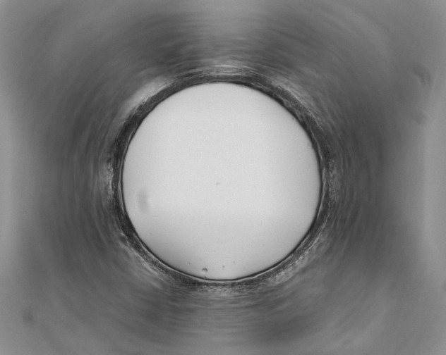 X0000111391402200908071246