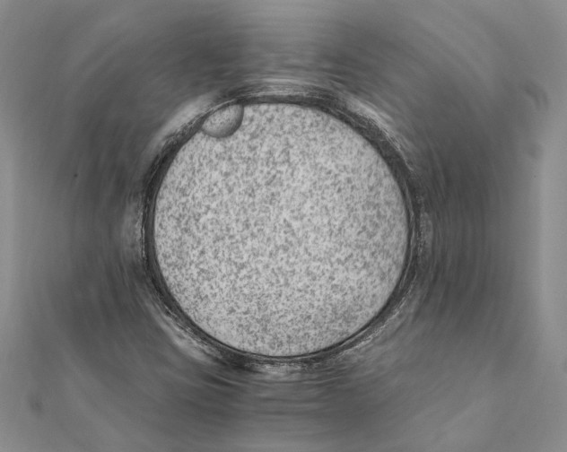 X0000111391403200908071246