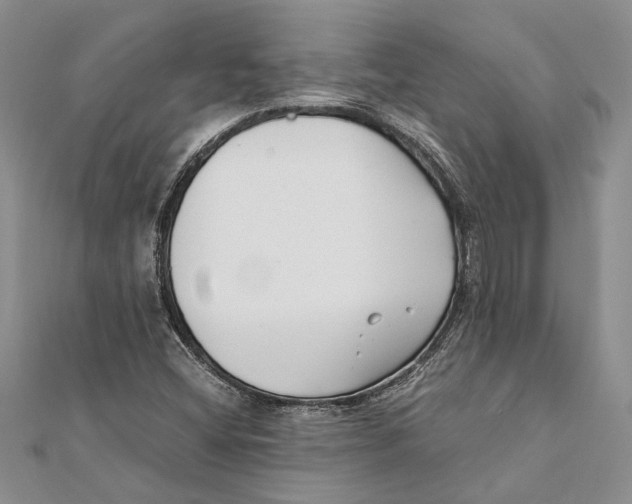 X0000111391404200908071246