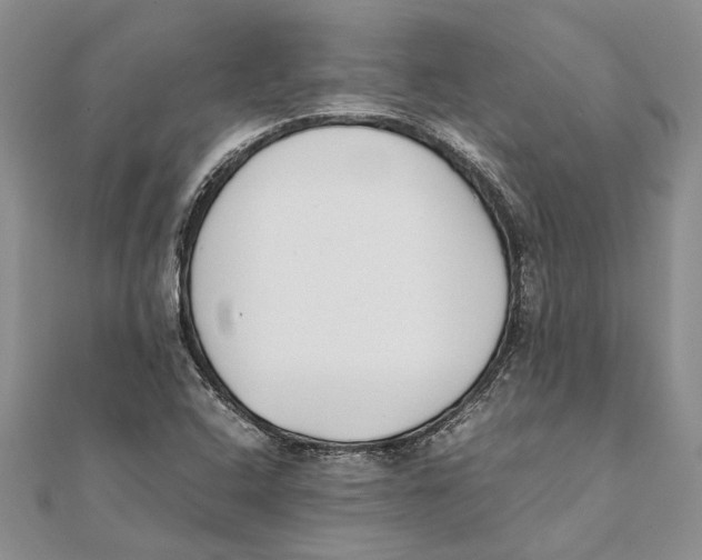 X0000111391408200908071246