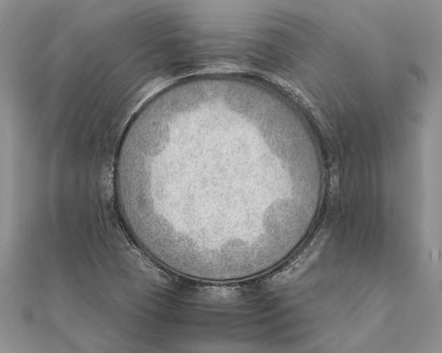 X0000111391409200908071246