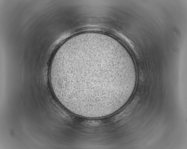 X0000111391411200908071246