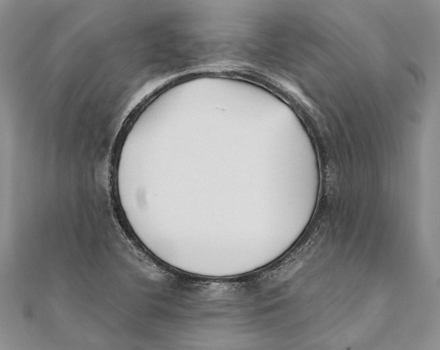 X0000111391412200908071246