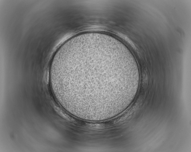 X0000111391413200908071246