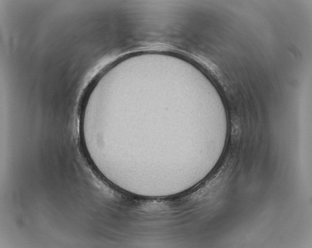 X0000111391414200908071246