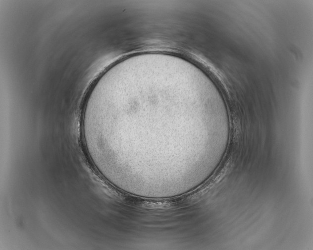 X0000111391415200908071246