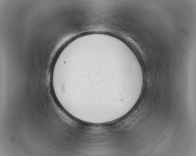 X0000111391416200908071246
