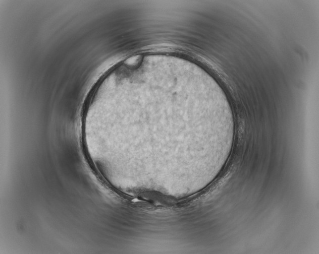 X0000111391418200908071246