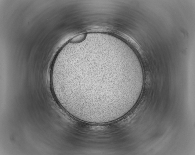X0000111391419200908071246