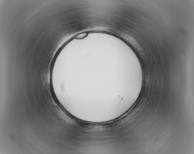 X0000111391420200908071246
