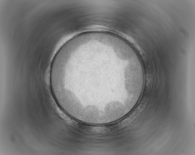 X0000111391421200908071246