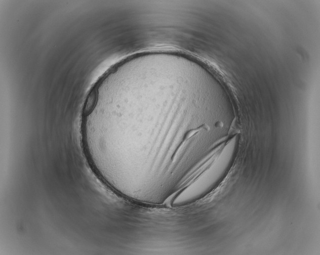 X0000111391422200908071246