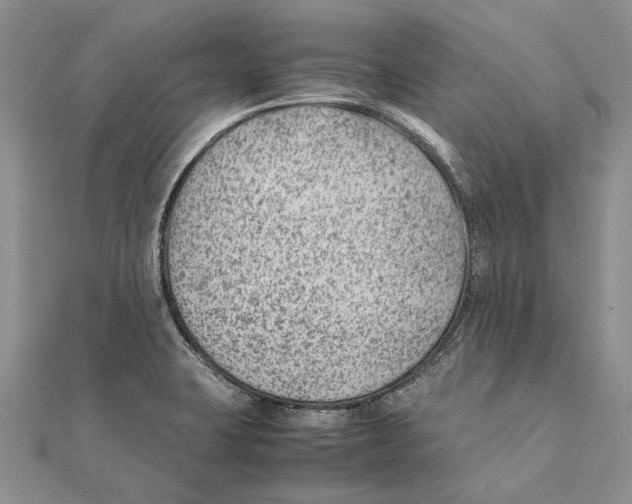 X0000111391423200908071246
