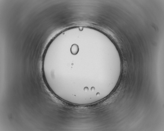 X0000111391424200908071246