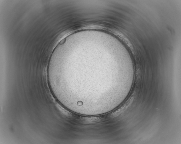 X0000111391425200908071246
