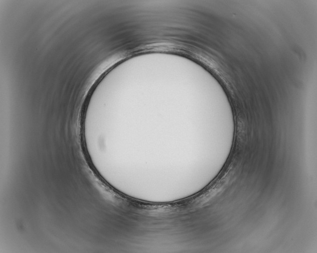 X0000111391426200908071246