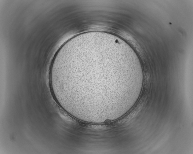 X0000111391427200908071246