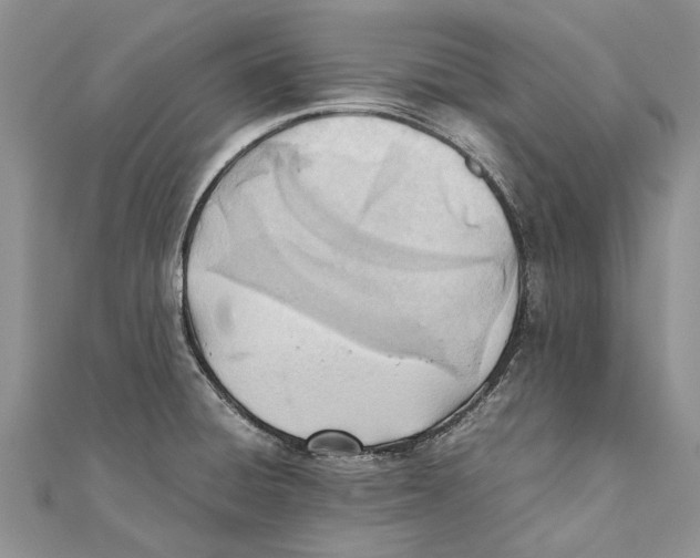 X0000111391428200908071246