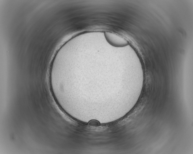 X0000111391429200908071246