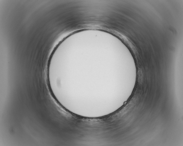 X0000111391432200908071246
