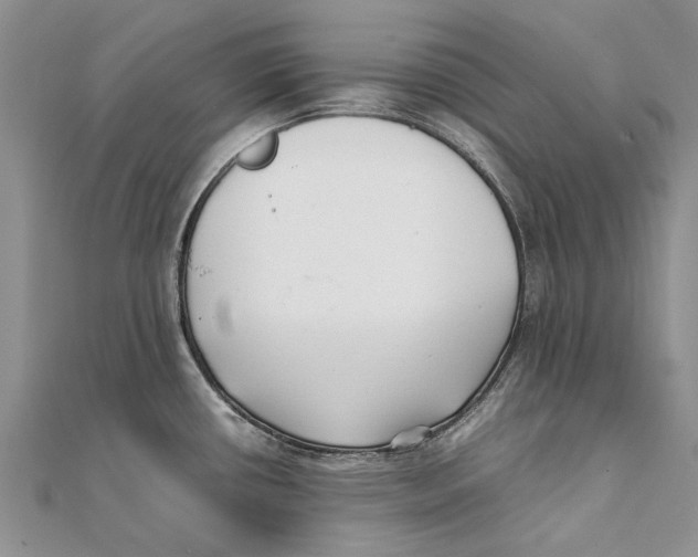 X0000111391434200908071246