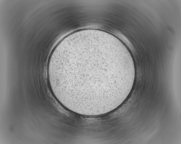 X0000111391436200908071246