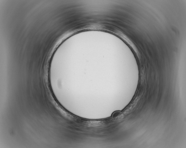 X0000111391437200908071246