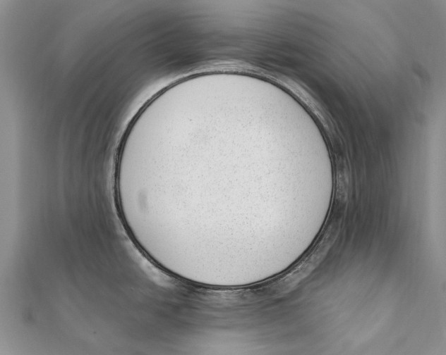 X0000111391438200908071246
