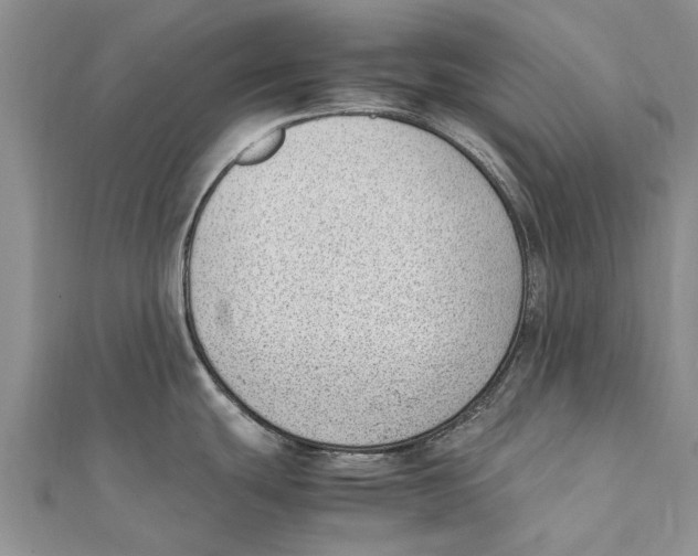 X0000111391439200908071246