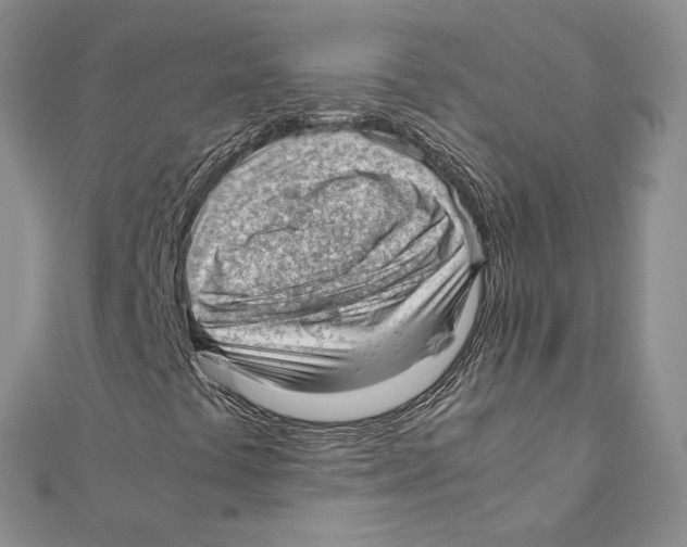 X0000111391441200908071246