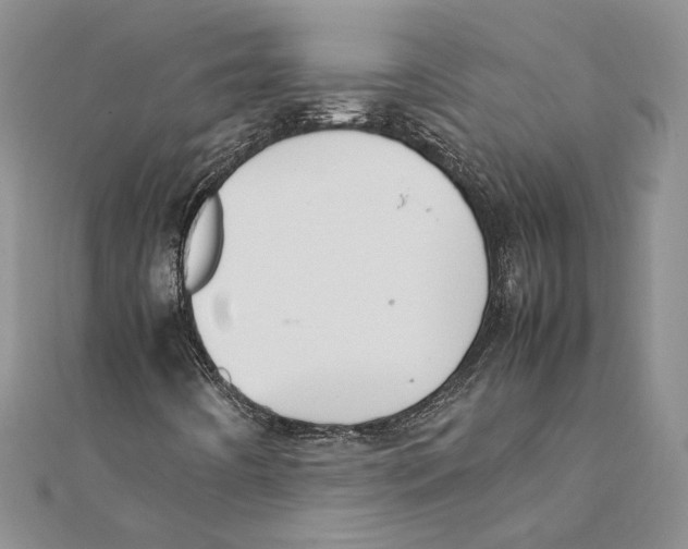 X0000111391442200908071246