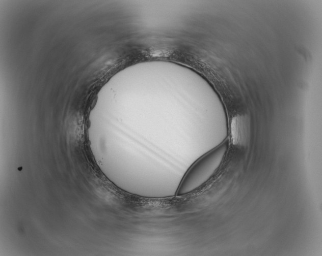 X0000111391443200908071246