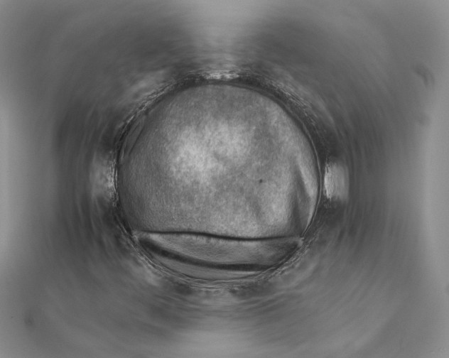 X0000111391444200908071246