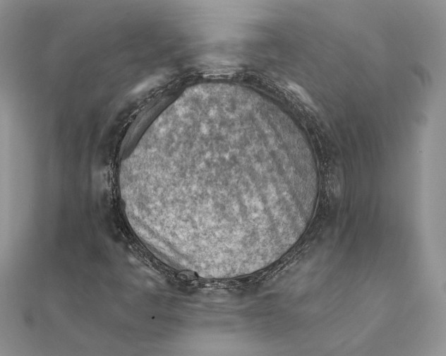 X0000111391445200908071246