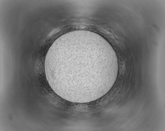 X0000111391446200908071246